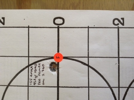 Rob Adamson 308 target and F shot